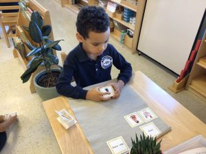 Why Montessori is the Best Approach for Nurturing Every Child's Potential