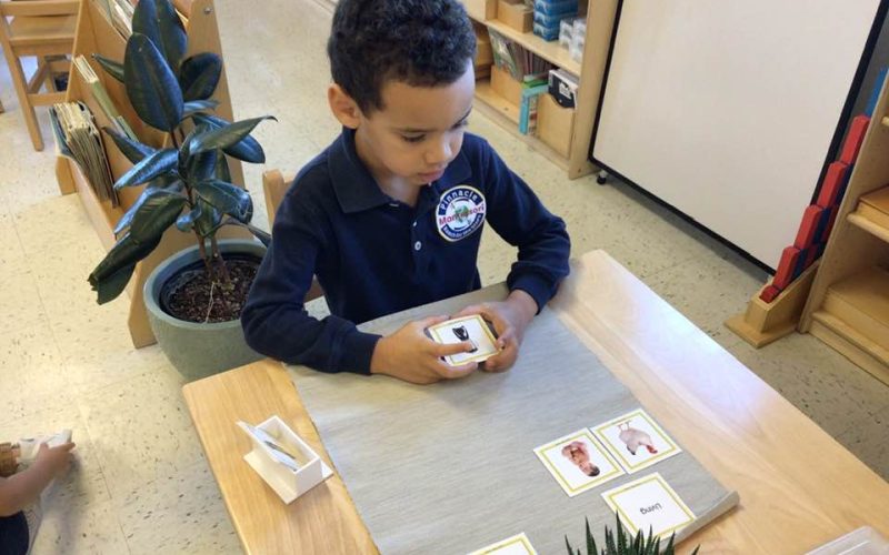 Why Montessori is the Best Approach for Nurturing Every Child's Potential